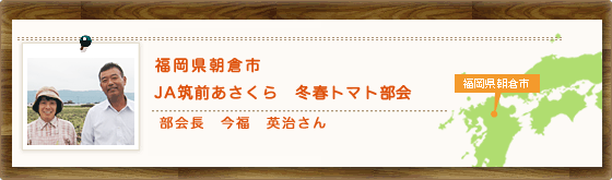 福岡県朝倉市 JA筑前あさくら 冬春トマト部会 部会長 今福 英治さん