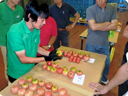 トマト目揃え会
