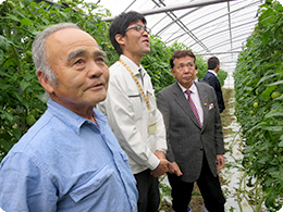 金城 俊夫さんのトマトハウスに到着
